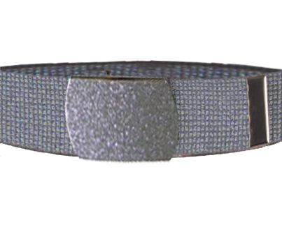 Silver Glitter Belt - Click Image to Close